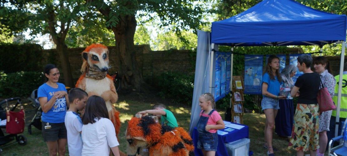 Rockliffe Gardens 'What's about you' activities