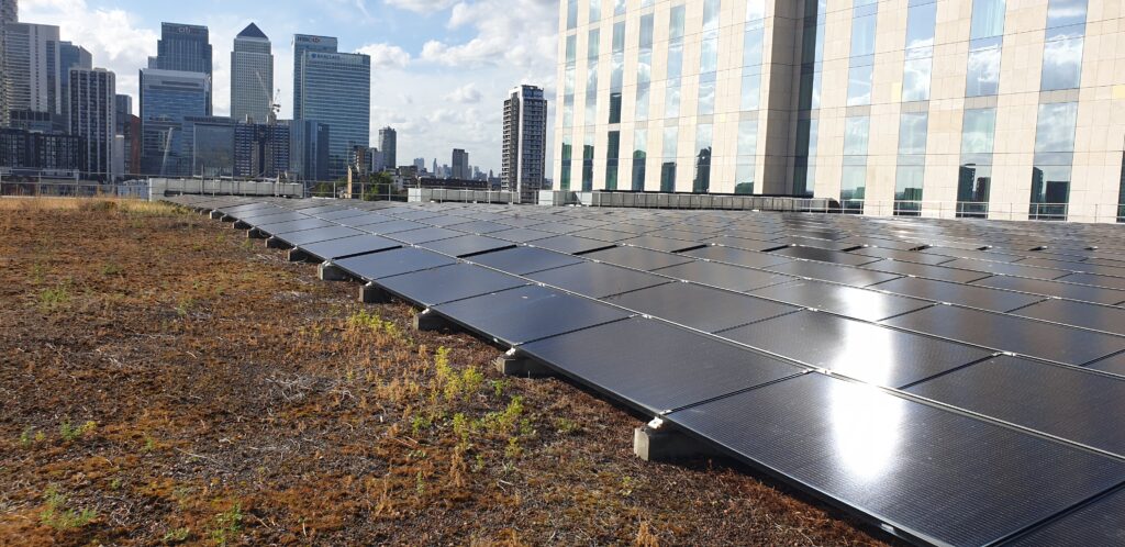 The Intercontinental Hotel array atop its greenroof.