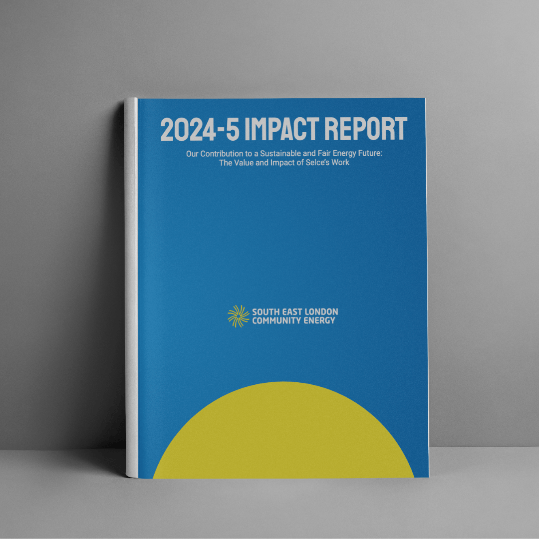 Selce Impact report