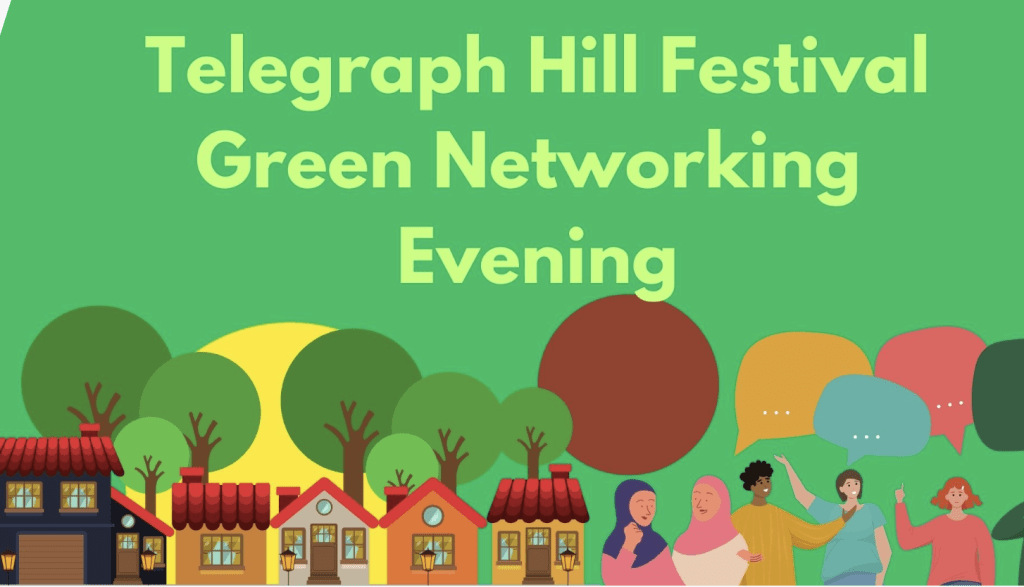 Lewisham Green Networking